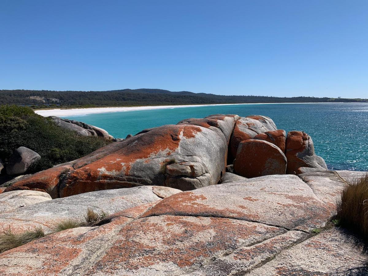 Bay Of Fires Great Escape Villa Binalong Bay Dış mekan fotoğraf