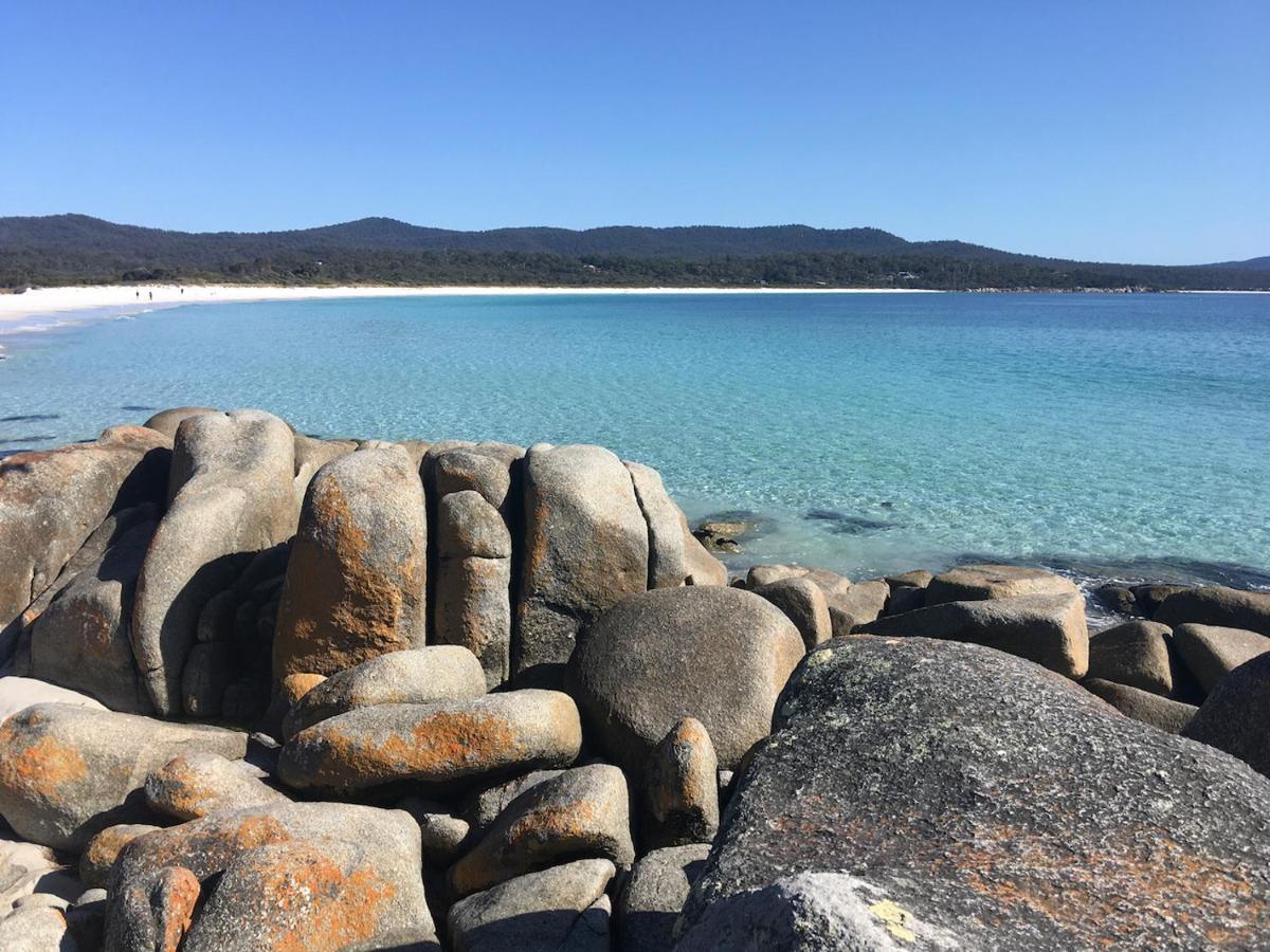 Bay Of Fires Great Escape Villa Binalong Bay Dış mekan fotoğraf